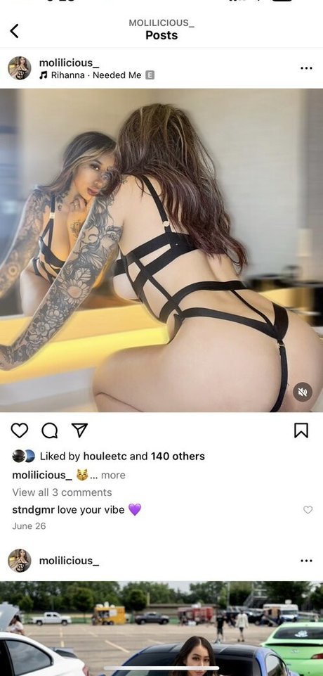 Molilicious