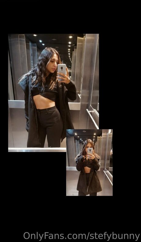 Stefybunny