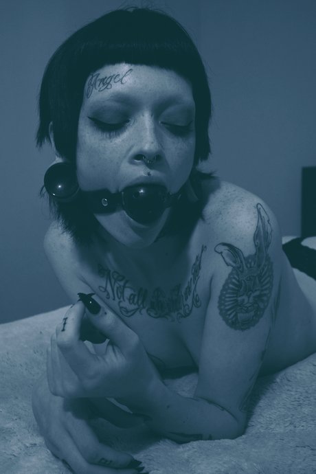 Foto di nudo di fuga di OnlyFans di Thebunnyandthebear