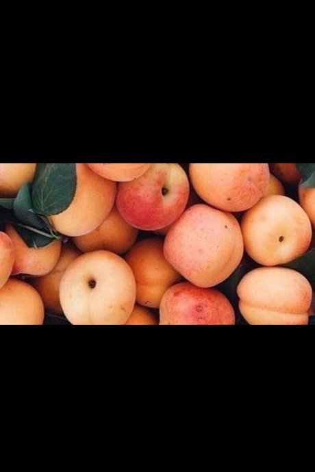 Foto di nudo di fuga di OnlyFans di Aden