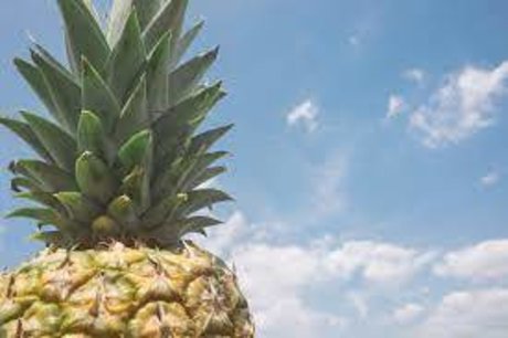 Foto di nudo di fuga di OnlyFans di Pineappleflow