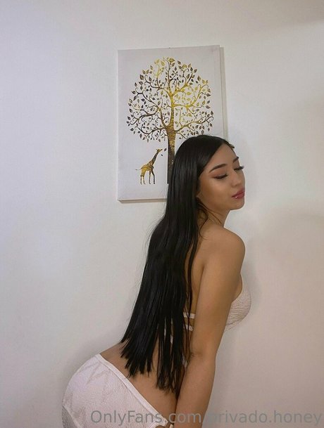 Foto di nudo di fuga di OnlyFans di Privadohoney