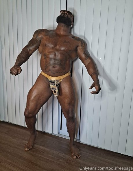 Toolsfreepage Foto di nudo di fuga di OnlyFans di Toolsfreepage #61