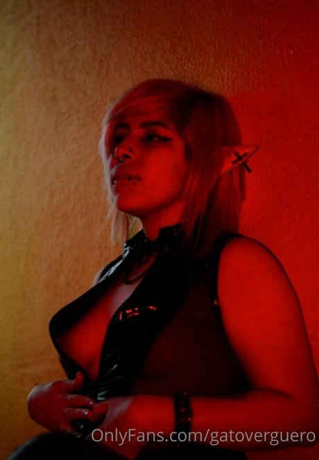 Gatoverguero