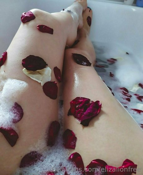 Candyadria