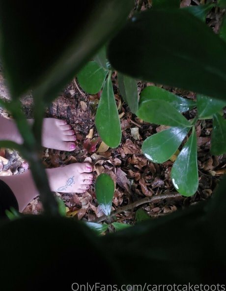 Carrotcaketoots