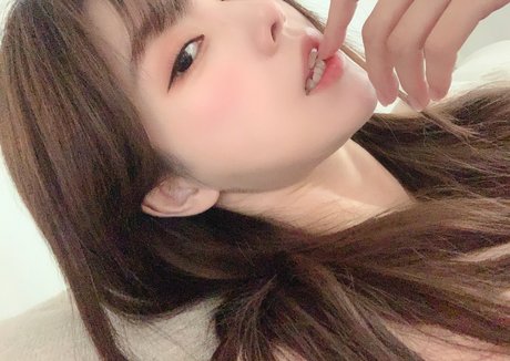 Plppt123