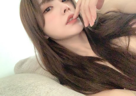 Plppt123