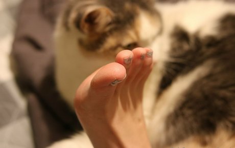 Msfeetsie