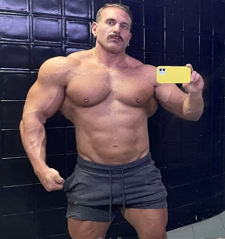Cultofapollo