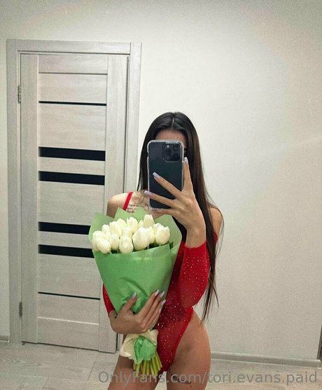 Torievansvip