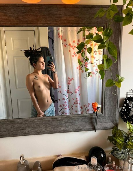 Venuskittyxo
