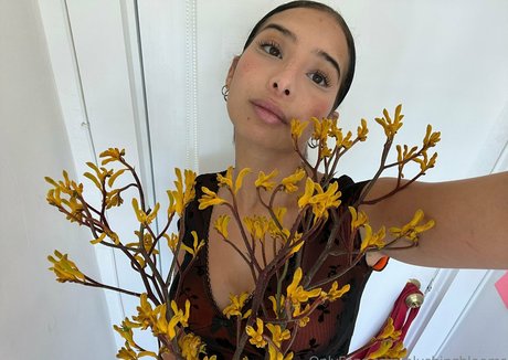 Blushingblooms