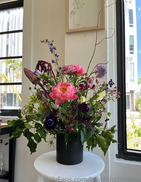 Blushingblooms