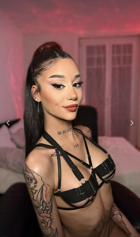 Arryadoll