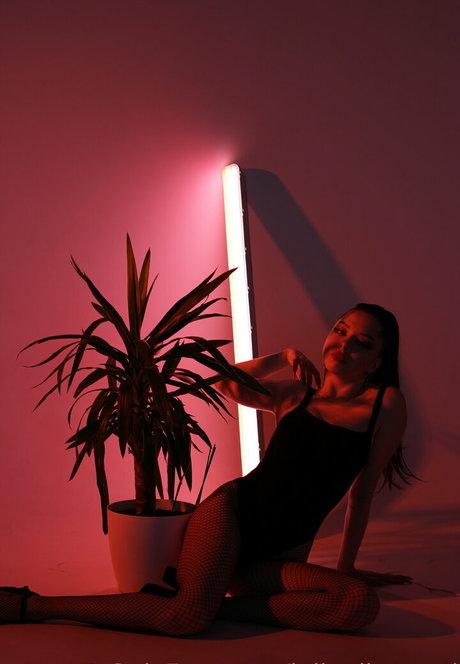Juliadiamond
