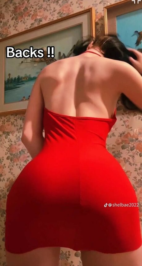 Foto di nudo di fuga di OnlyFans di Shelbae2022