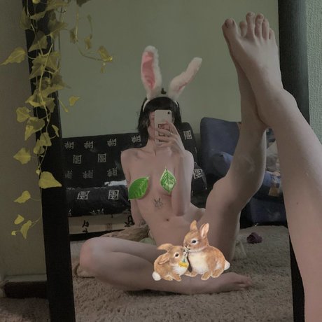Fluffyfulafel