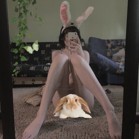 Fluffyfulafel