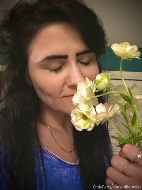 Ollieorose