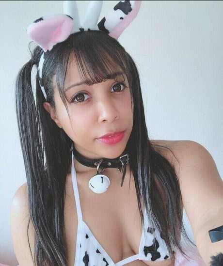 Arijapan