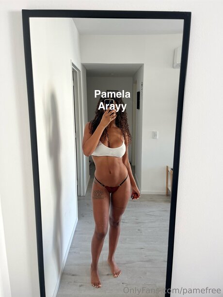 Foto di nudo di fuga di OnlyFans di Pamefree