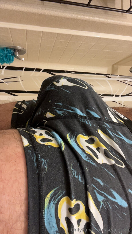 Foto di nudo di fuga di OnlyFans di Seacookie
