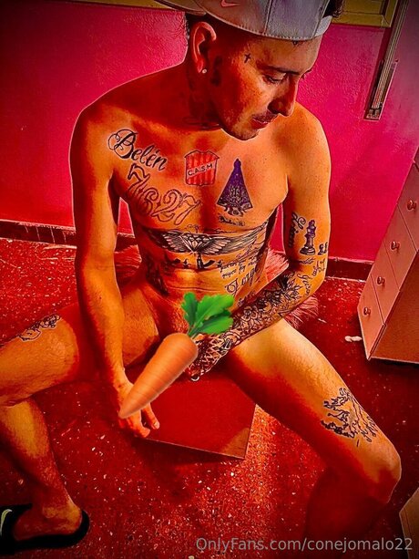 Foto di nudo di fuga di OnlyFans di Conejomalo22