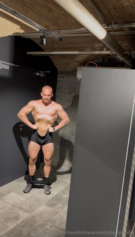 Swedishwannabebodybuild