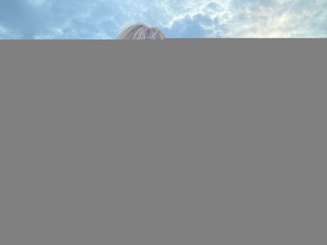 Foto di nudo di fuga di OnlyFans di Ashley Milk