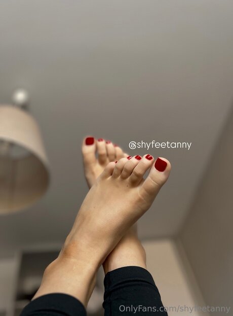 Shyfeetanny