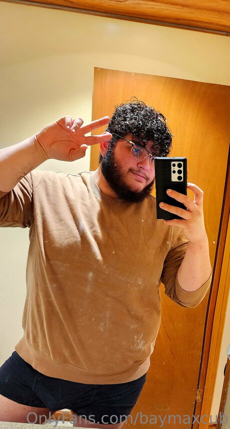 Baymaxcub