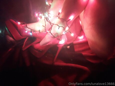 Lunalove13666
