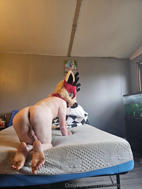 Velvetdeernsfw