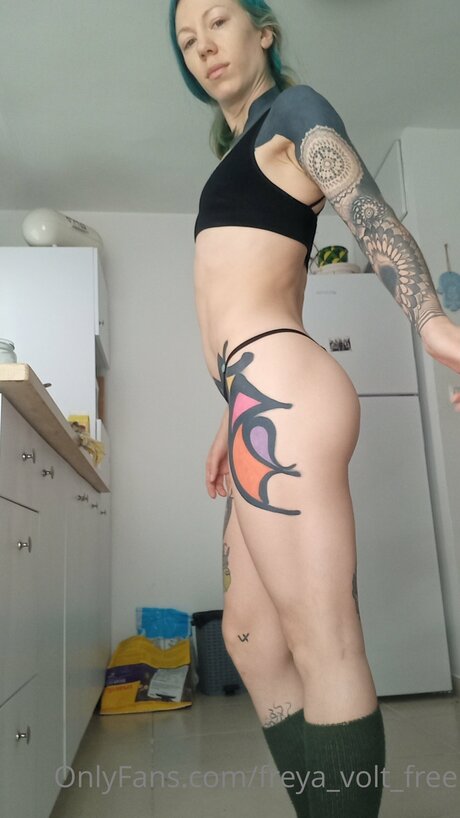 Foto di nudo di fuga di OnlyFans di Freya Volt Free
