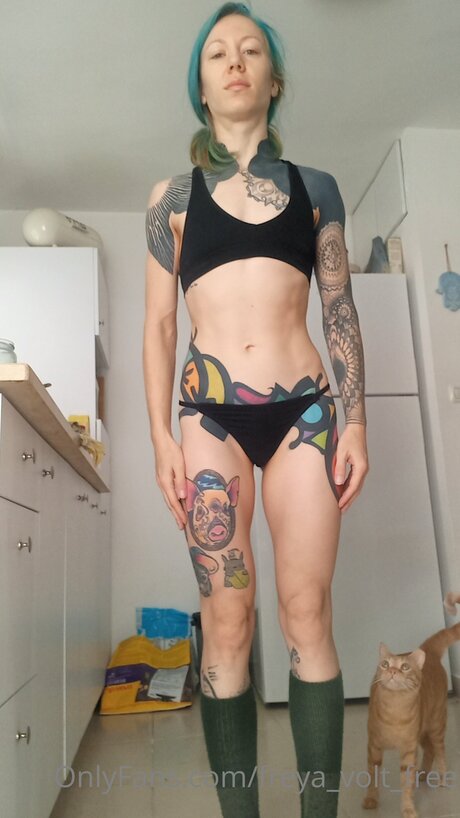 Foto di nudo di fuga di OnlyFans di Freya Volt Free