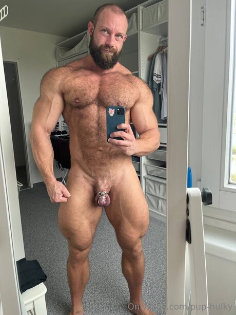 Pup Hulky