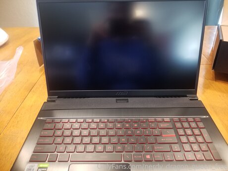 Nerdy Dragon Queen Free