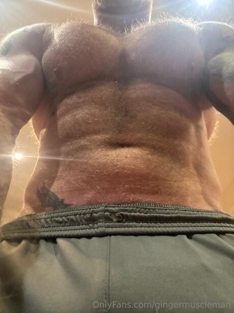 Gingermuscleman