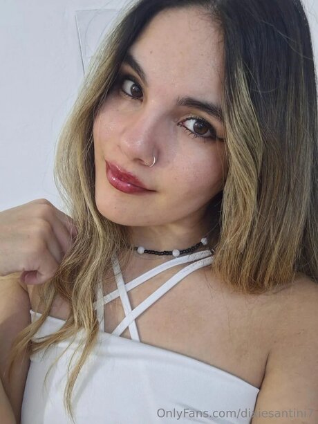 Dixiesantini7