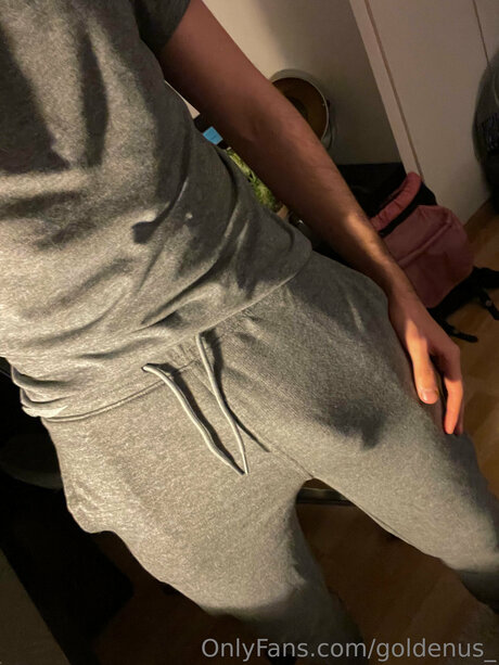 Foto di nudo di fuga di OnlyFans di Goldenus