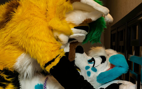 Thepineapplefox