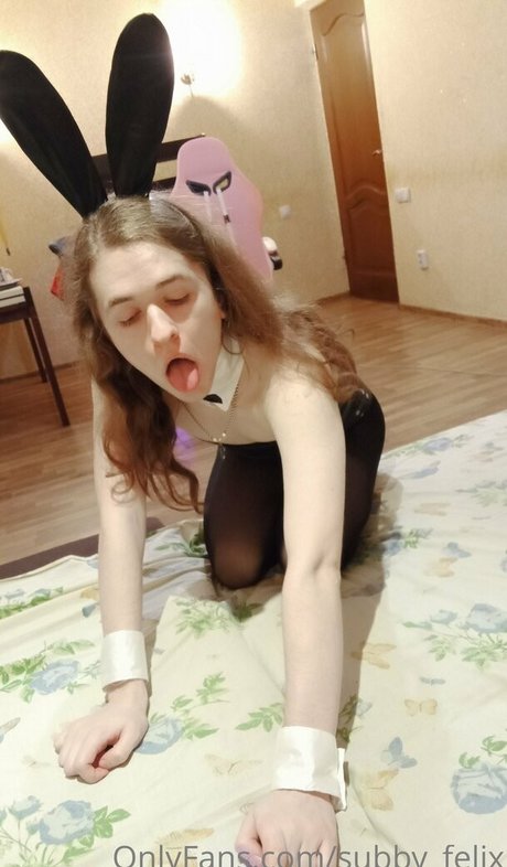 Subbyfelix