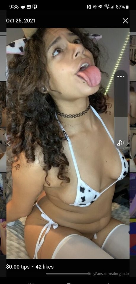 Hellazebra