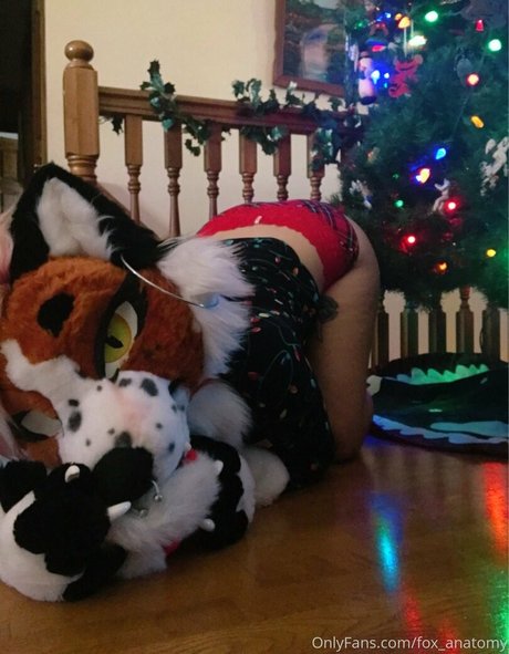 Foxanatomy