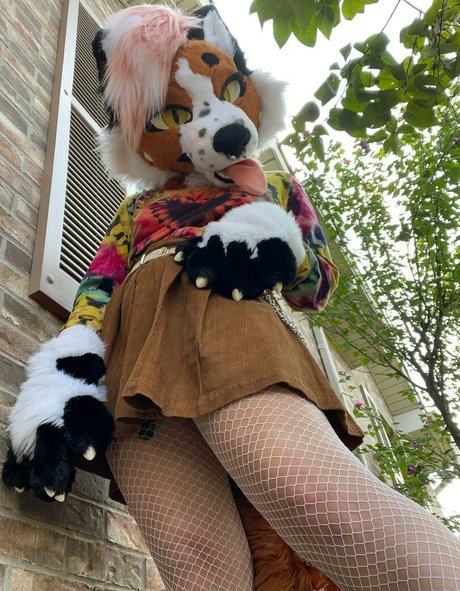 Foxanatomy