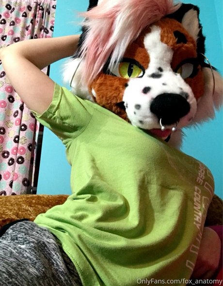 Foxanatomy