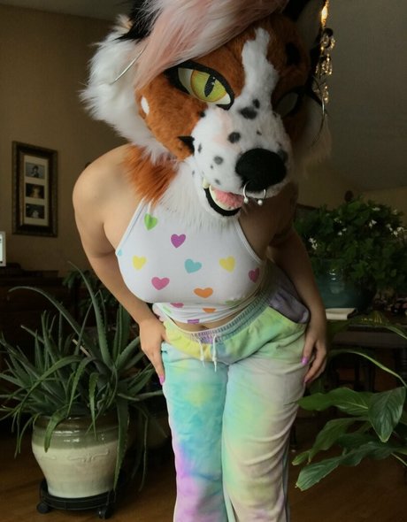 Foxanatomy