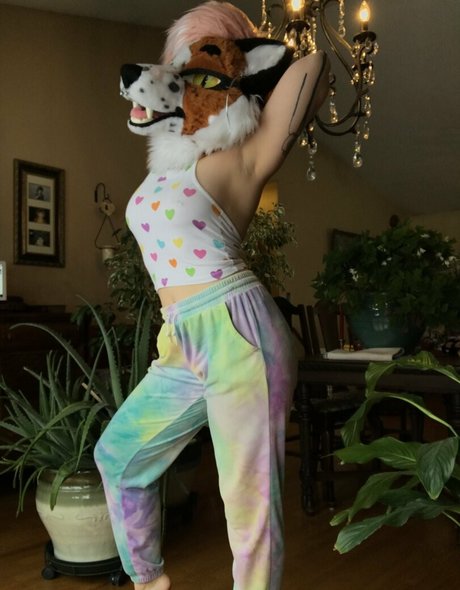 Foxanatomy