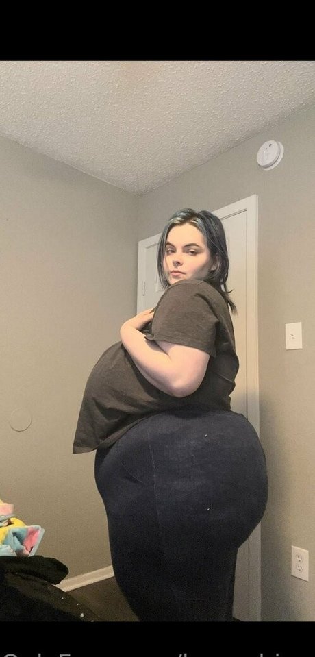 Honeybiscuit20